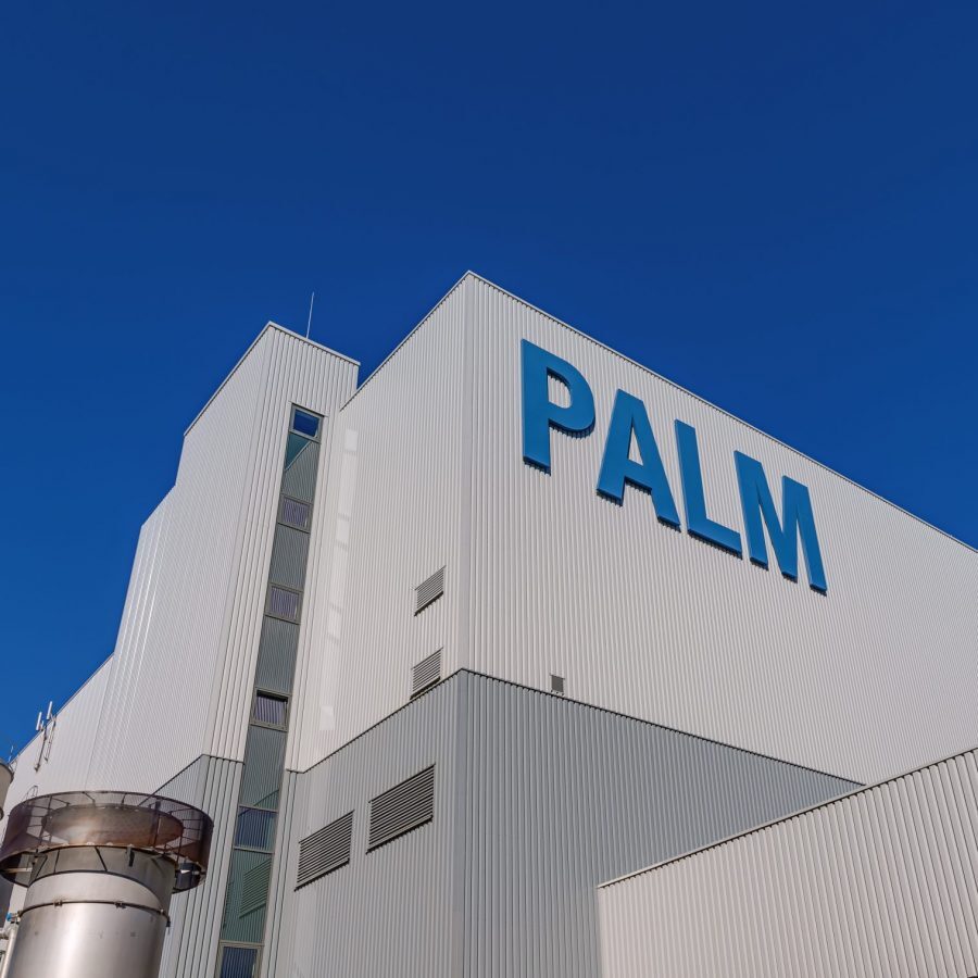 Palm Aalen
